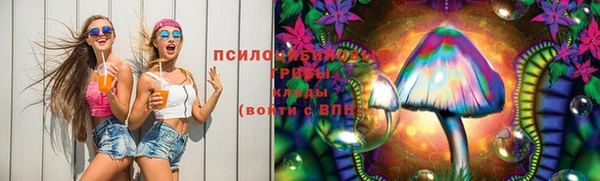мдпв Нея