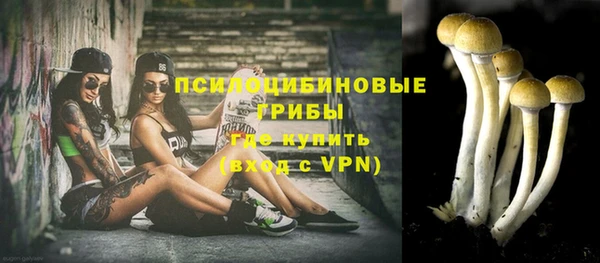 мдпв Нея