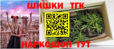 спиды Заводоуковск