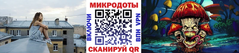 МЕГА ТОР  даркнет сайт  Черкесск  Псилоцибиновые грибы Psilocybe 