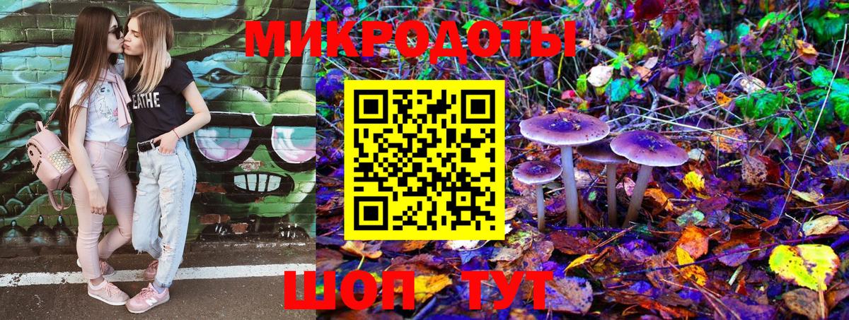 Черкесск  купить наркотик  Вход с VPN  Псилоцибиновые грибы Psilocybine cubensis 