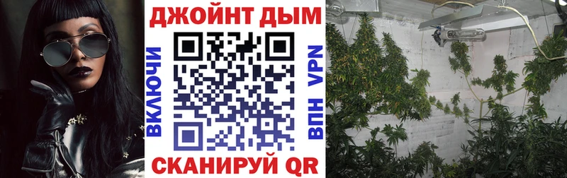 Шишки марихуана семена  Черкесск 